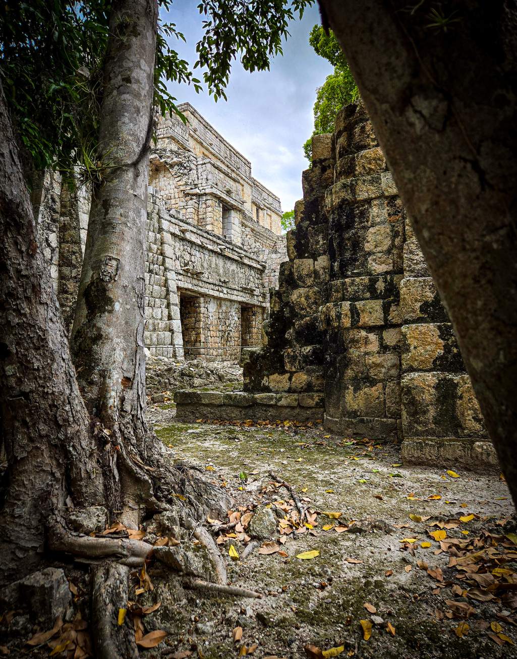 El Palacio