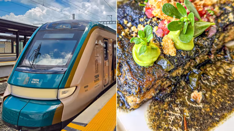 Tren Maya och Janal: En exklusiv matresa genom Yucatán på räls