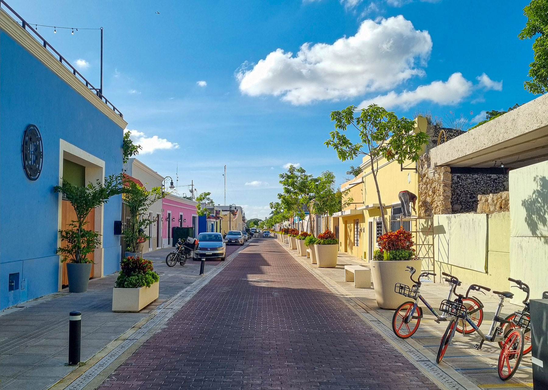 Calle (gata) 47 i Merida