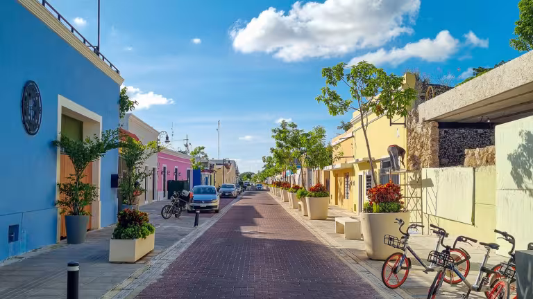 Calle (gata) 47 i Merida