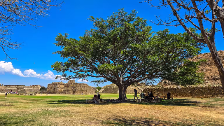 Att hitta skuggan i Monte Albaán.